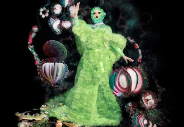 Fossora는 Björk의 XNUMX번째(가장 최근) 스튜디오 앨범입니다. 출처: Björk 인스타그램