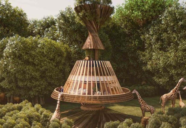 Katso MASK Architectsin valmistama Baobab Luxury Safari Resort. Kuva: MASK Architects -sivusto