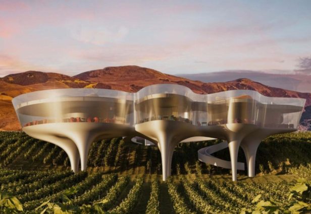 הצצה לביתן היין שתוכנן על ידי פיטר סטסק אדריכלים. צילום: ארכיטקטורות מדהימות