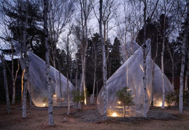 Katso läpinäkyviä telttoja, jotka Yuko Nagayama rakensi Japanissa. Lähde: Yuko Nagayama and Associates
