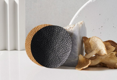 Adidas, Gucci 및 기타 대형 브랜드는 버섯으로 만든 가죽을 사용합니다. 사진 : Deezen