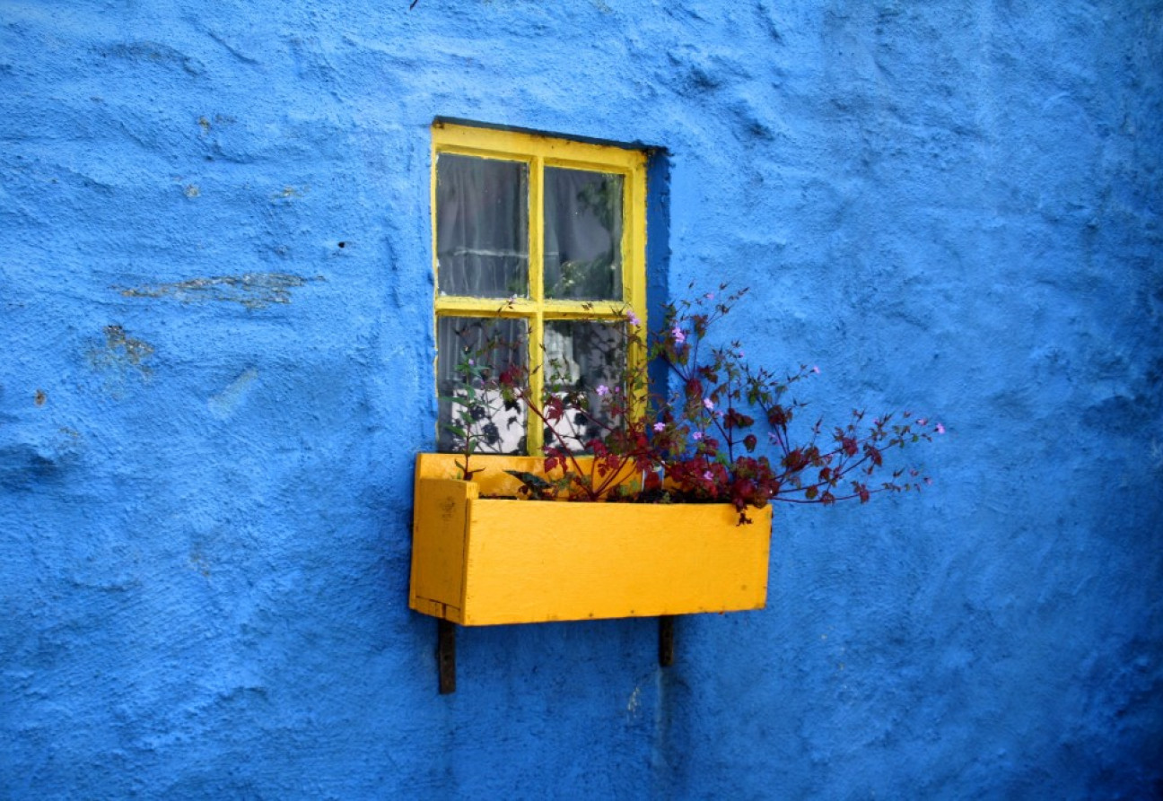 El color azul se relaciona con la calma y la felicidad. FOTO: Unsplash